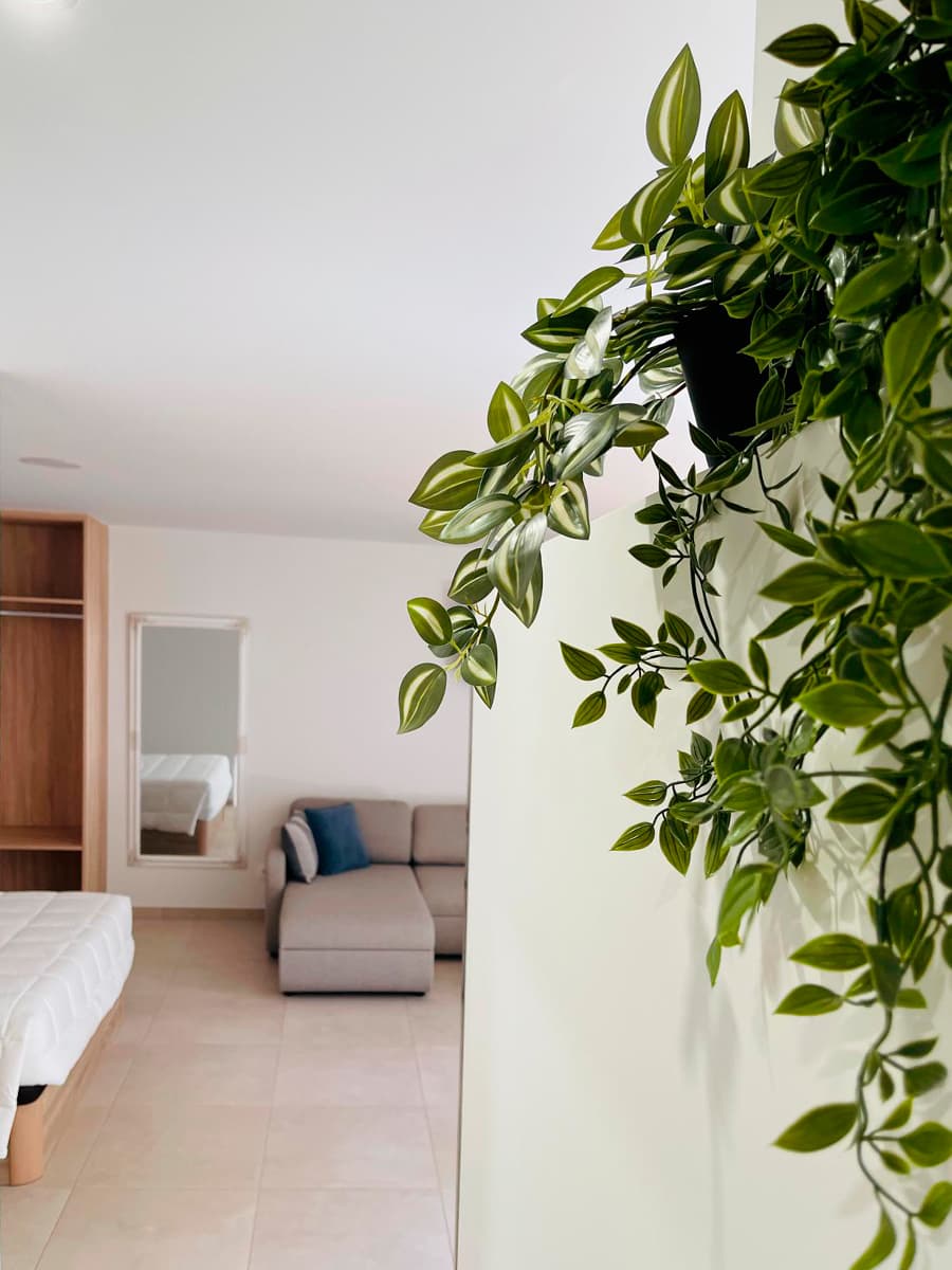 Apartamentos Limar