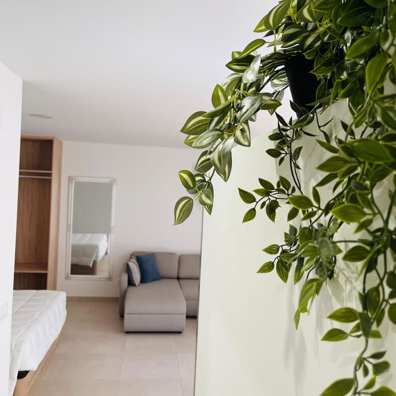Apartamentos estudio